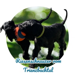 Home Interessantes Und Informatives